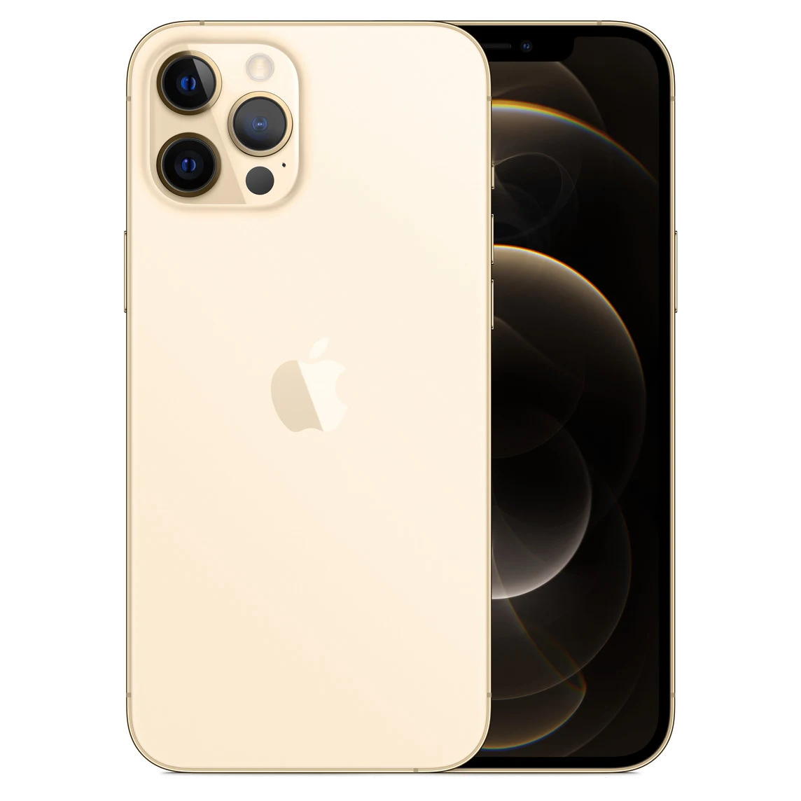 iPhone 12 Pro Max Reparatur